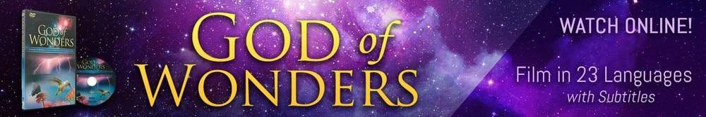 God of Wonders Film